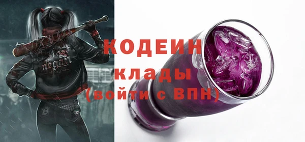 ГАЛЛЮЦИНОГЕННЫЕ ГРИБЫ Вязники