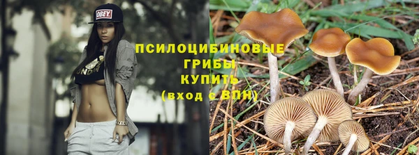 ГАЛЛЮЦИНОГЕННЫЕ ГРИБЫ Вязники