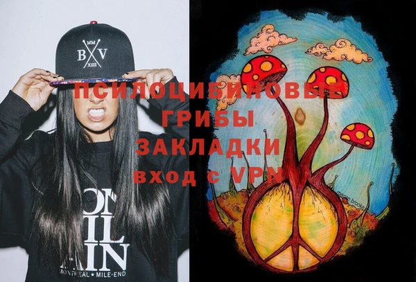 молекула духа Строитель