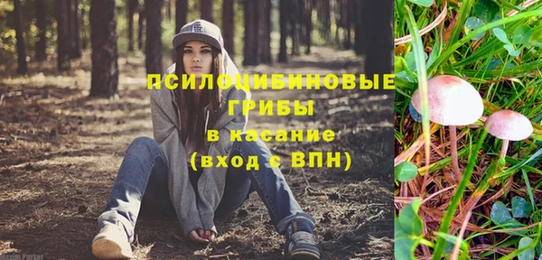 mdpv Горняк